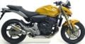 CB 600 F Hornet (07-13)
