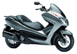 Forza 300 ABS (13-20)