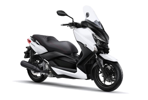 X-Max 250 (10-13)