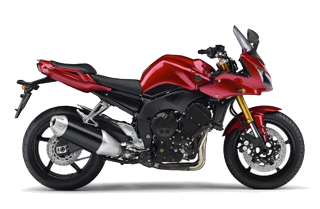FZ1 1000 (06-15)