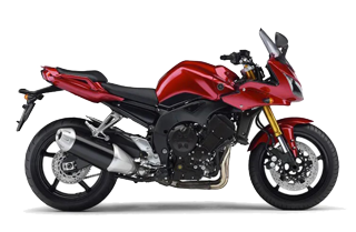 FZ1 1000 (06-15)