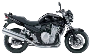 GSF 650 Bandit / S (09-14)