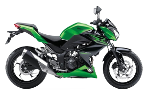 Z 300 (15)