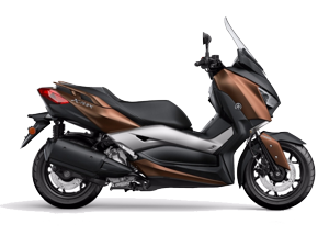X-Max 300 (17-22)