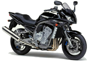 FZS1000 (01-05)