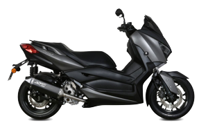 X-Max 250 (18-)