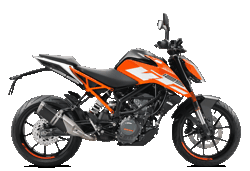 125 Duke (17-)