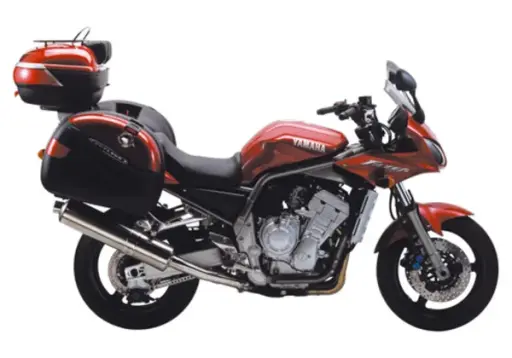 FZS 1000 Fazer (01-02)