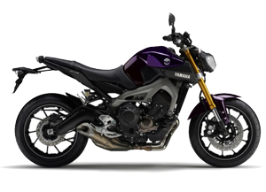MT-09 (13-16)