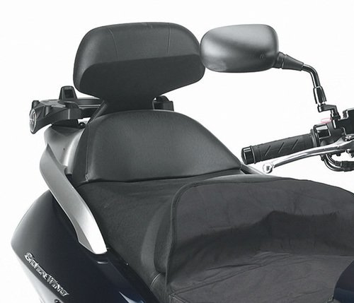 Kappa KTB19 Honda Silverwing - Sw-T 400-600 Sissybar