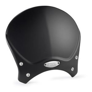 Givi 100ALB Bmw R Nine T Yamaha XSR 700-900 Ön Cam