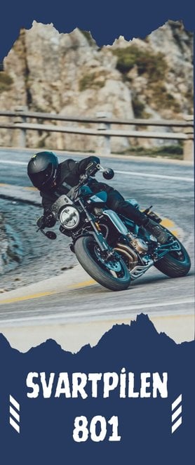 Husqvarna Svartpilen 801